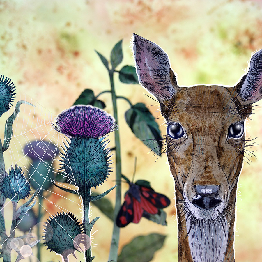 Folktale Doe: Caroline Rudge