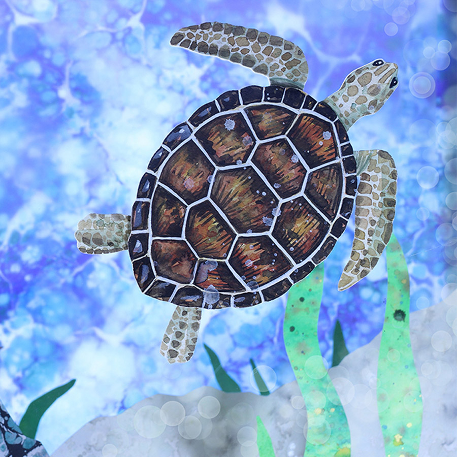 Sea Turtle: Caroline Rudge